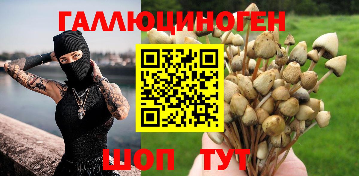 Псилоцибиновые грибы Magic Shrooms  Вход с VPN  Туймазы  Галлюциногенные грибы Psilocybe 